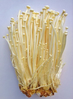 Hongos Enoki