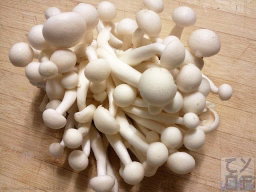 Hongos shimeji Blancos