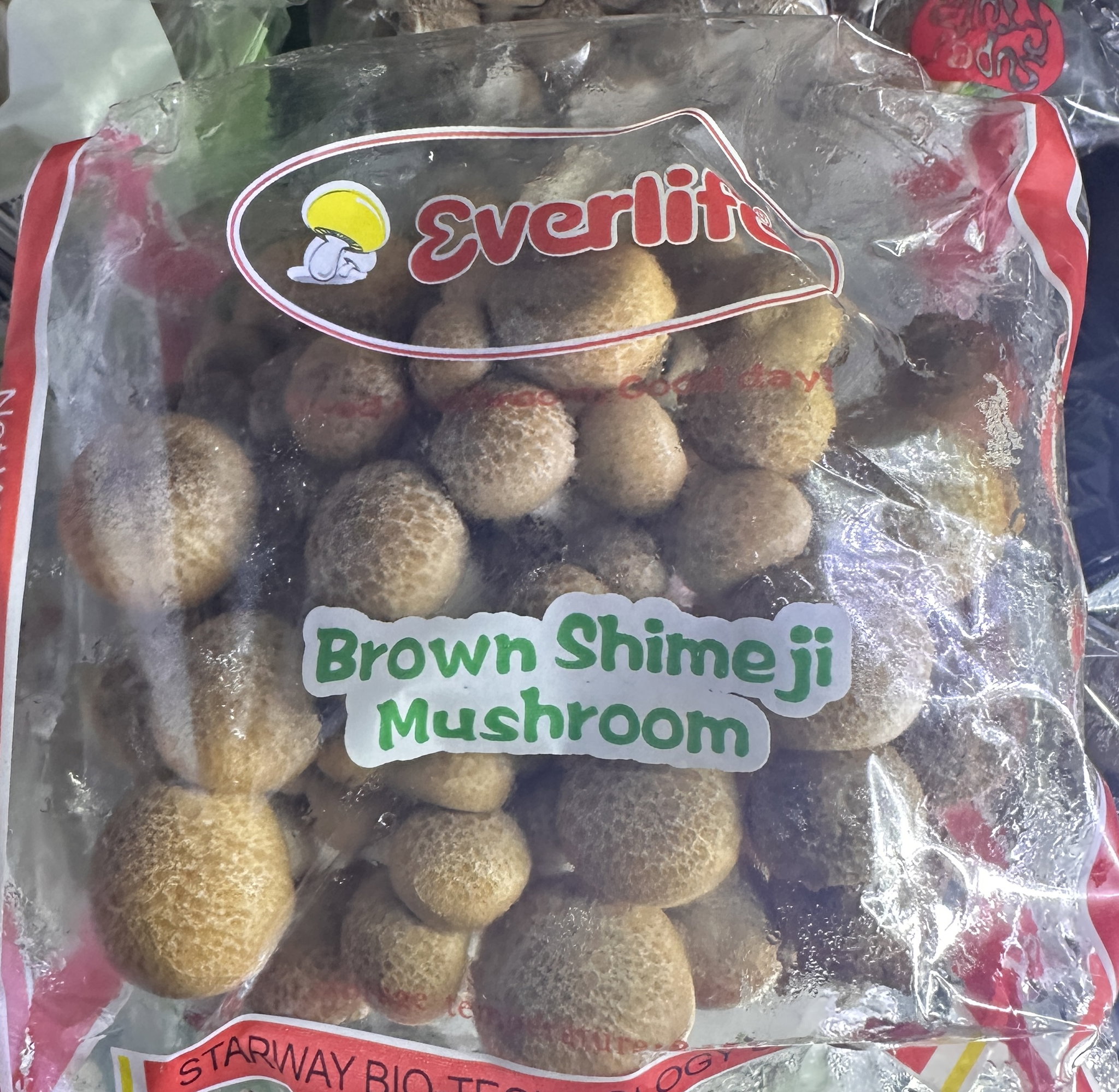 Hongos shimeji chocolates_1
