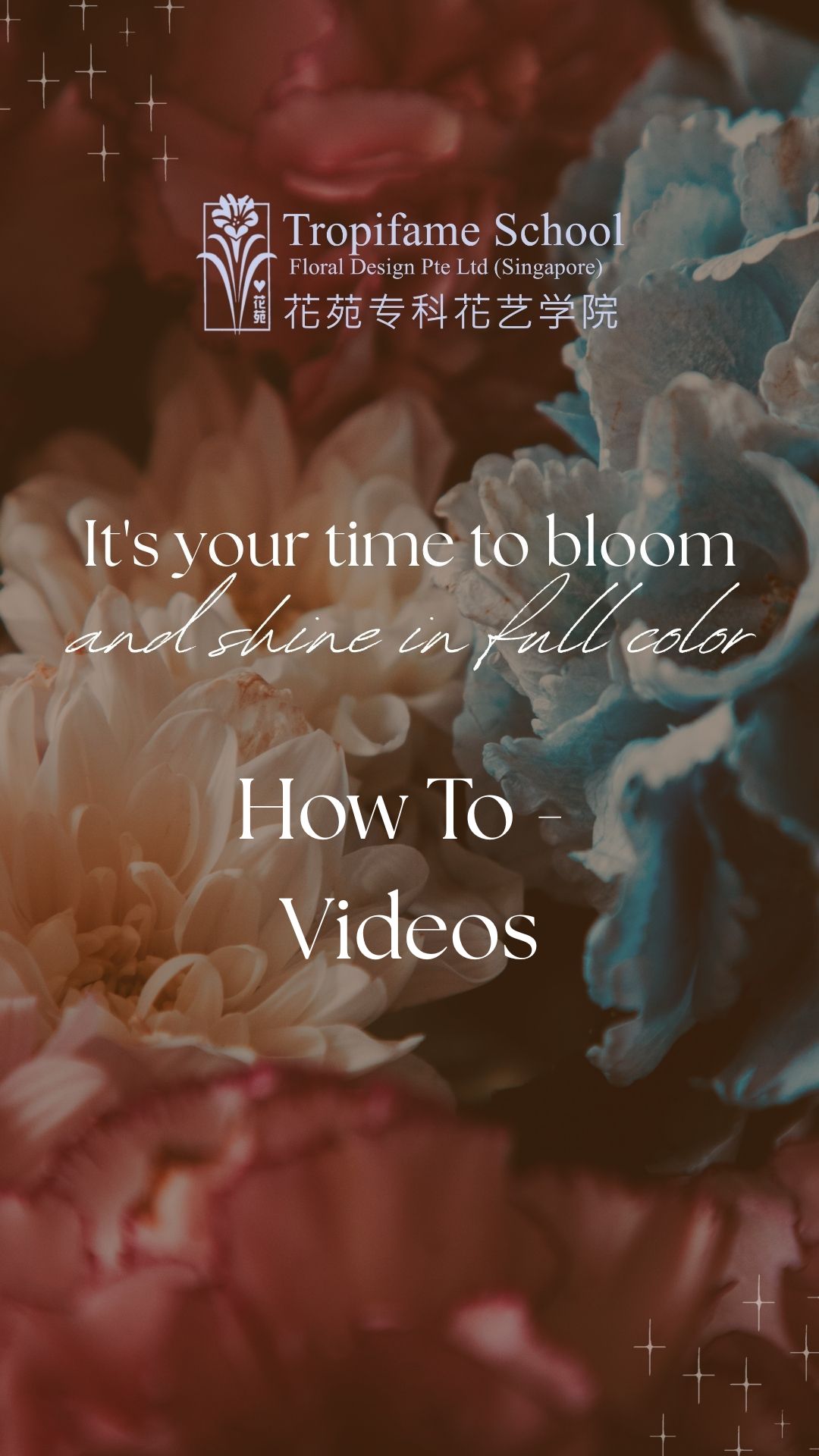 How to Video - Flex Bird of Paradise