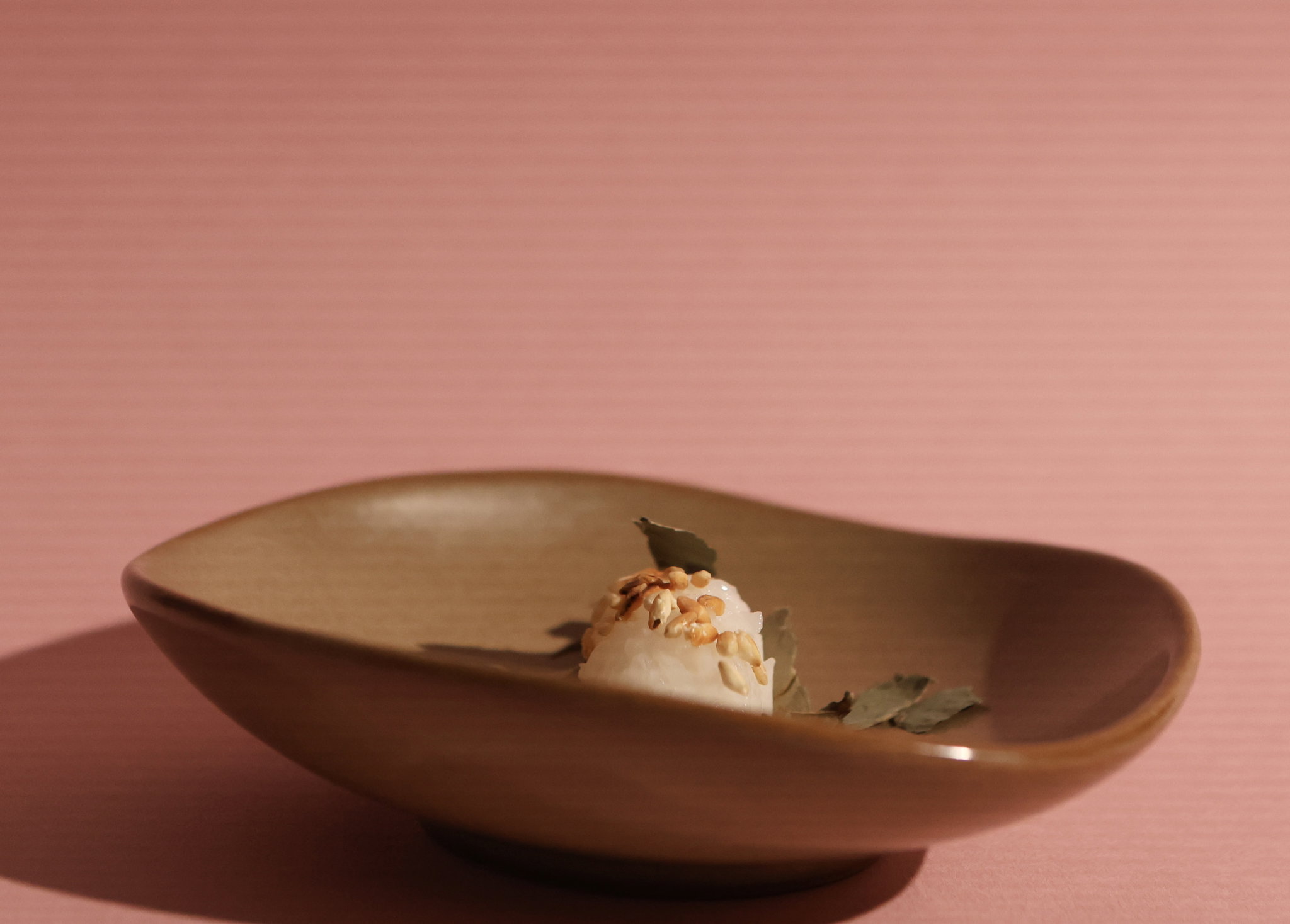 Rice Gelato _1