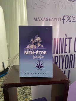 Guide du bien être au quotidien de Max Domerçant