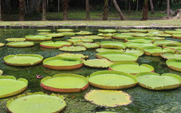 All Inclusive Private Tour - 2 sightseeing tours