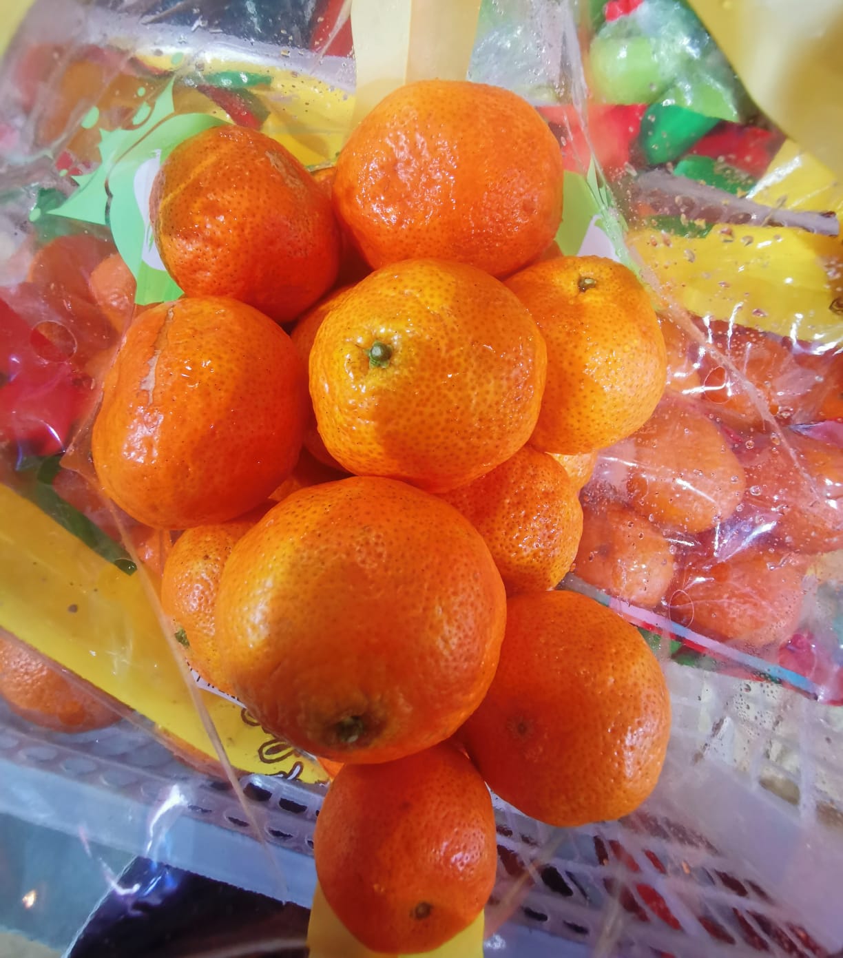 Sugar Tangerines_2