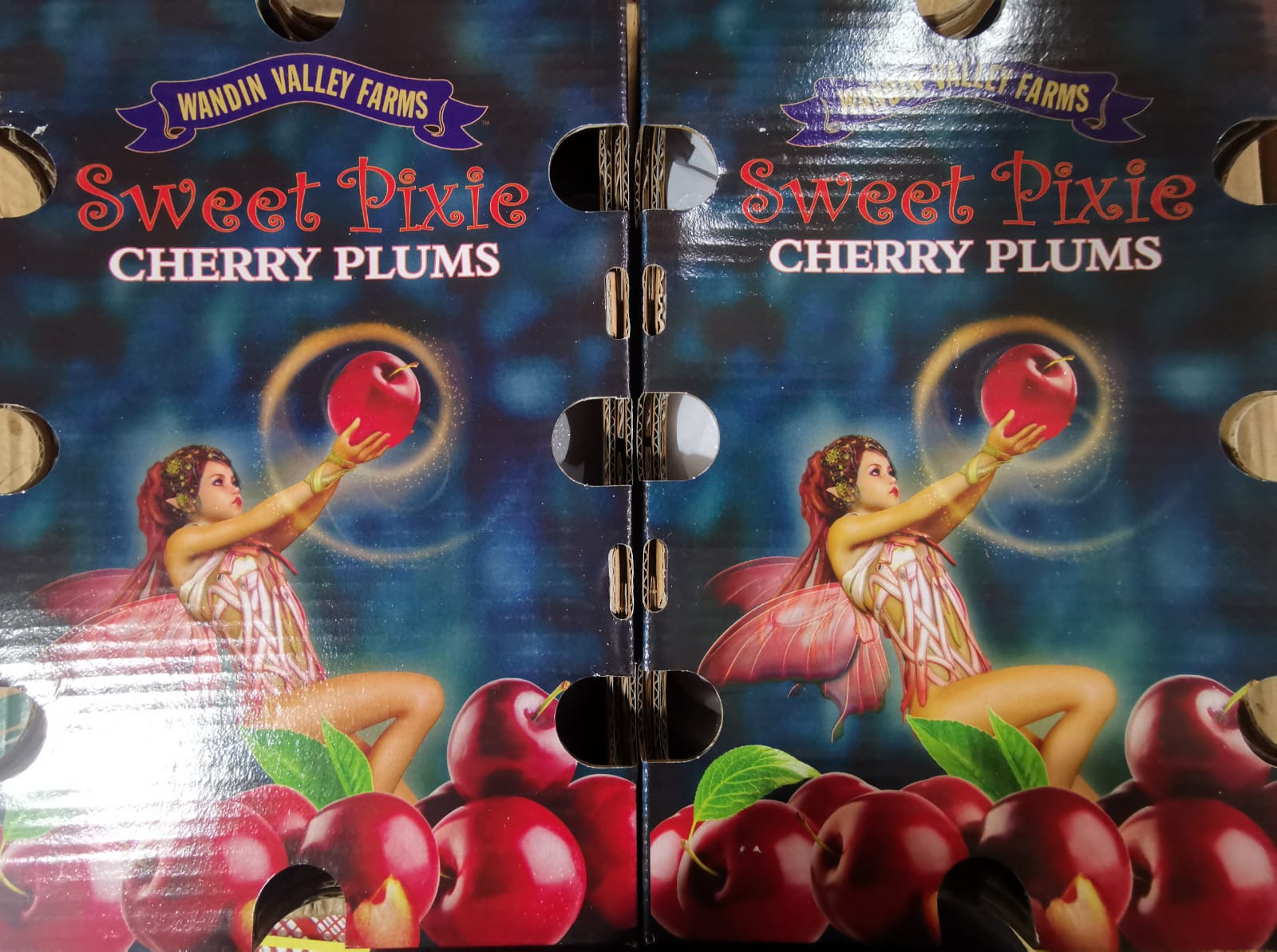 Australia Pixie Cherry Plums_2