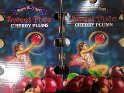 Australia Pixie Cherry Plums
