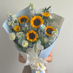 Gentle Sunshine