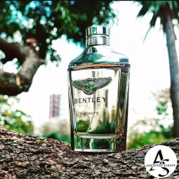 Bentley Infinite 100 ML EDT