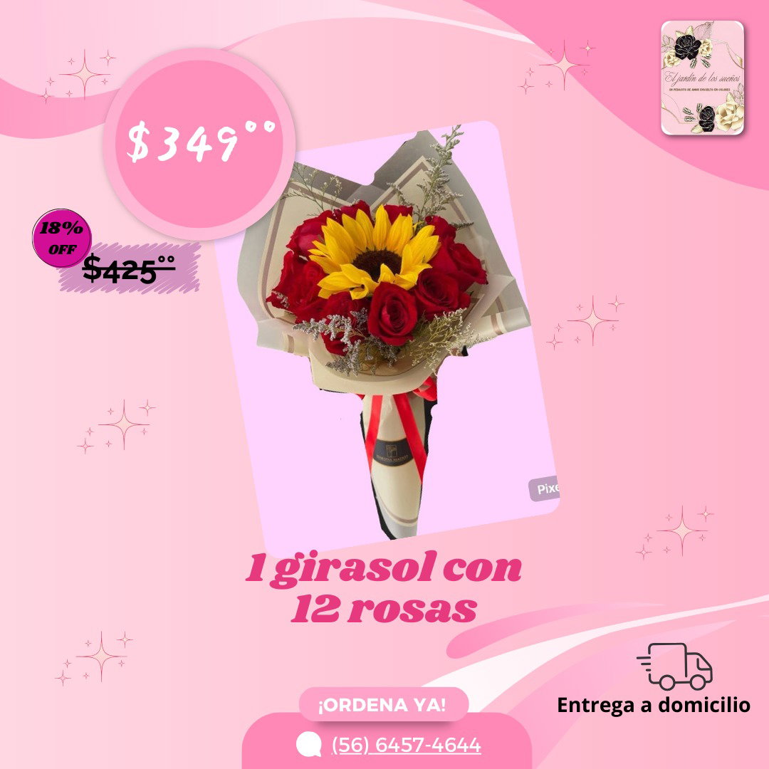 1 GIRASOL Y 12 ROSAS_0