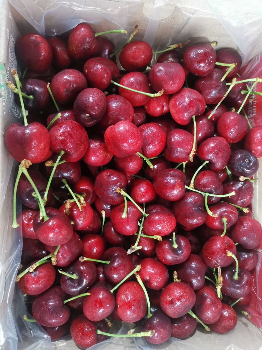 Chile Cherry