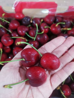 Chile Cherry