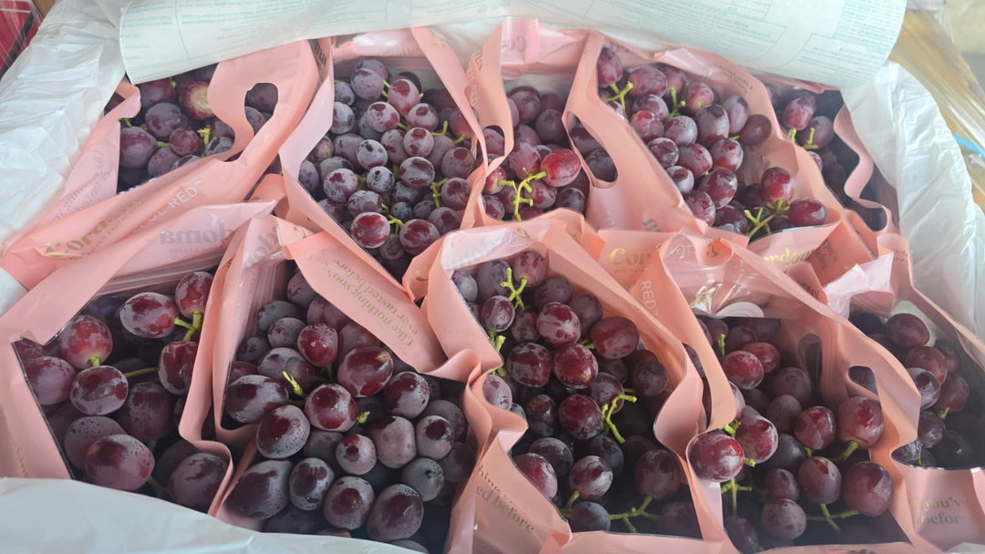 Australia Red Grapes