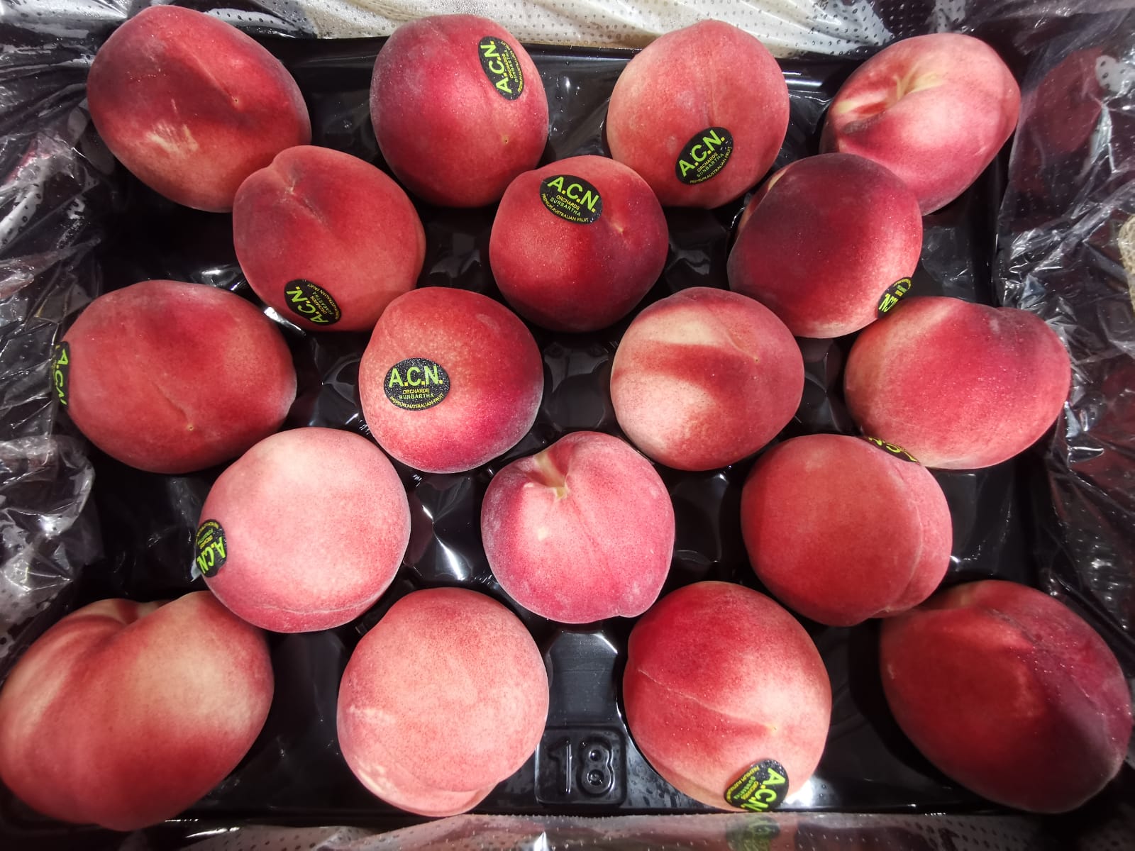 Australia White Peach_0
