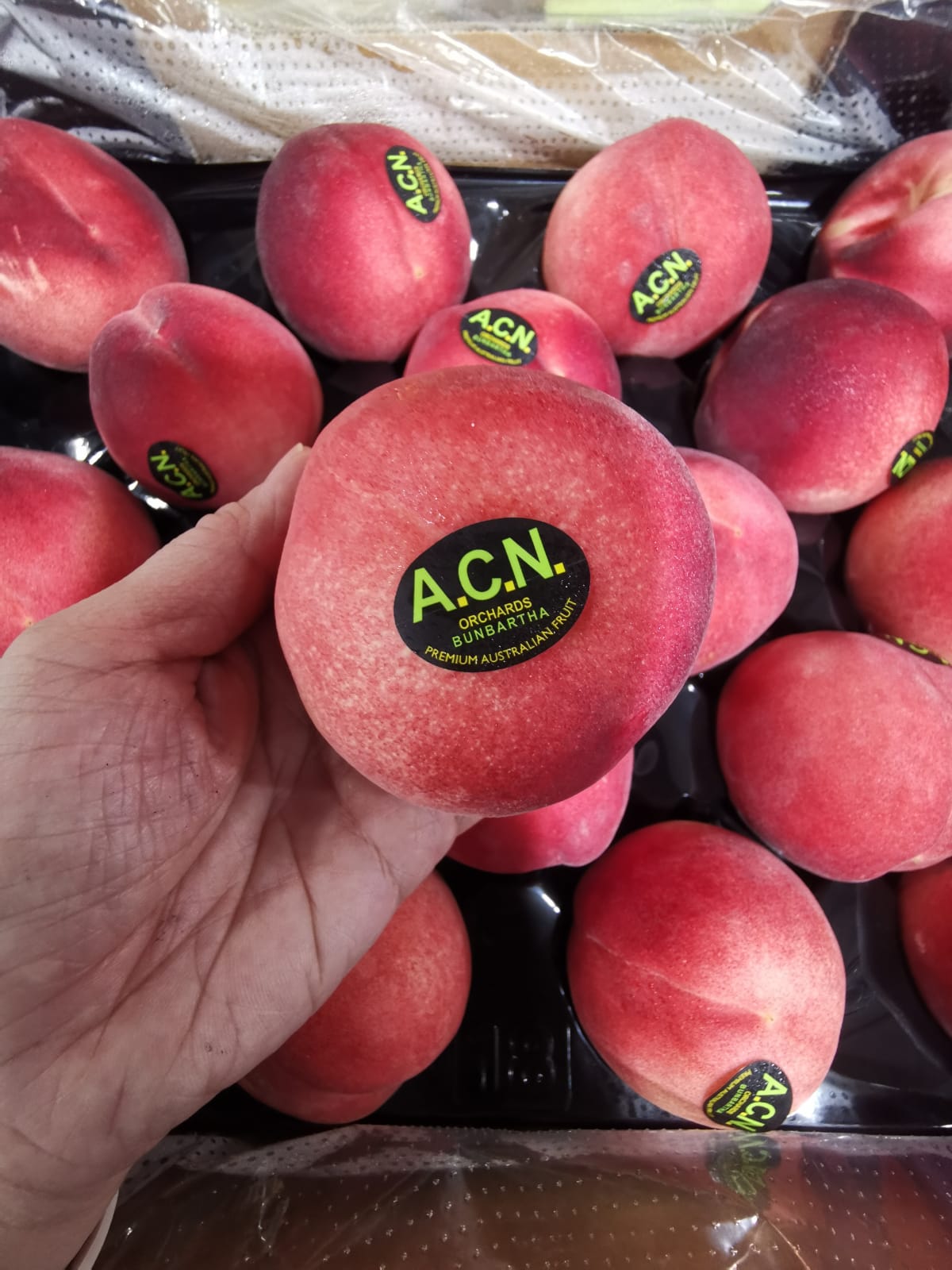 Australia White Peach_1