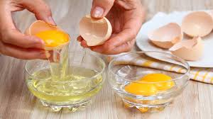 1006 EGG WHITE 