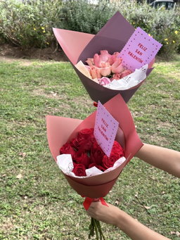 12 rosas  