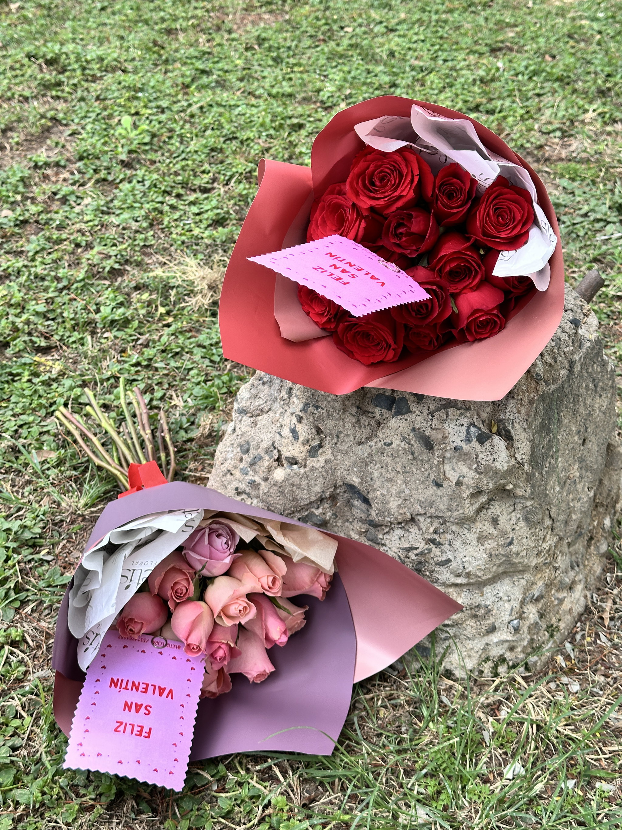 12 rosas  _0