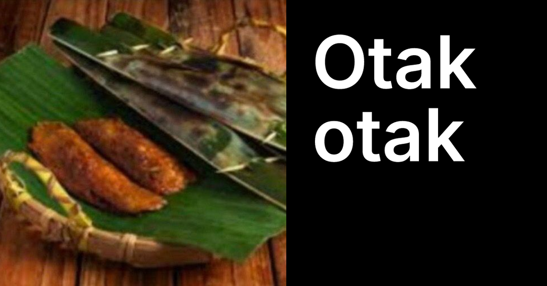 Otak OTAK