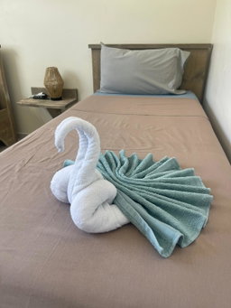 Houskeeping & Towel Service