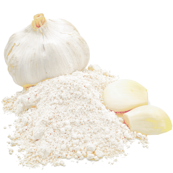 1000g| Knoblauch Pulver | ثوم بودرة_0