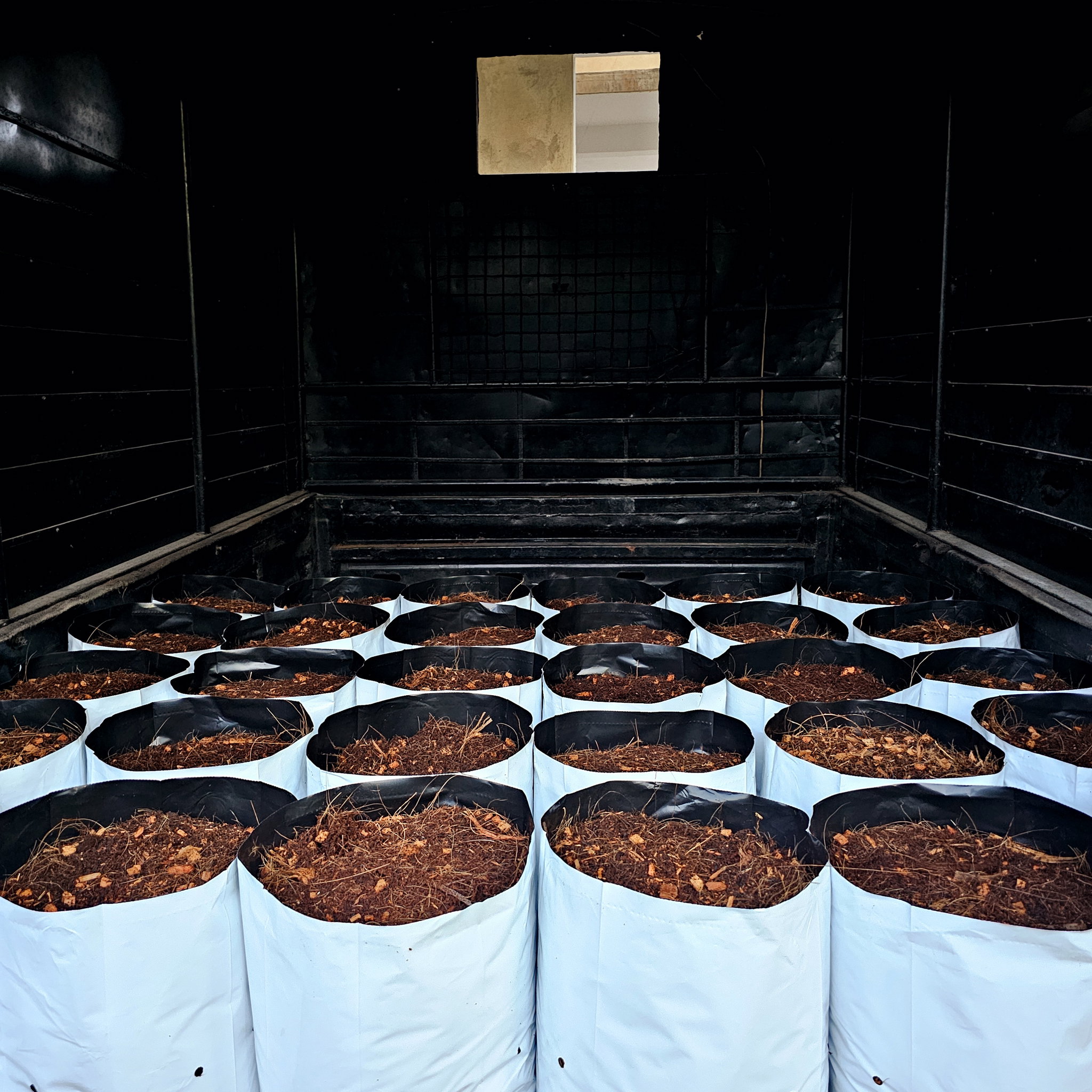 Filled Grow Bags (පිරවූ වගා මලු)_2