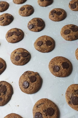 Belgian Choc Chip Seasalt