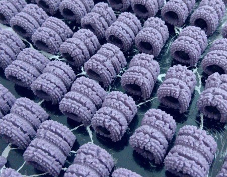 Berry Lush Blueberry Tarts - Size M