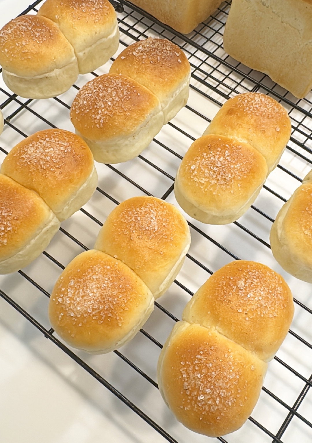Butter Sugar Mini Bun