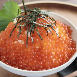 いくら 500ｇ　Salmon Roe (500g)_0