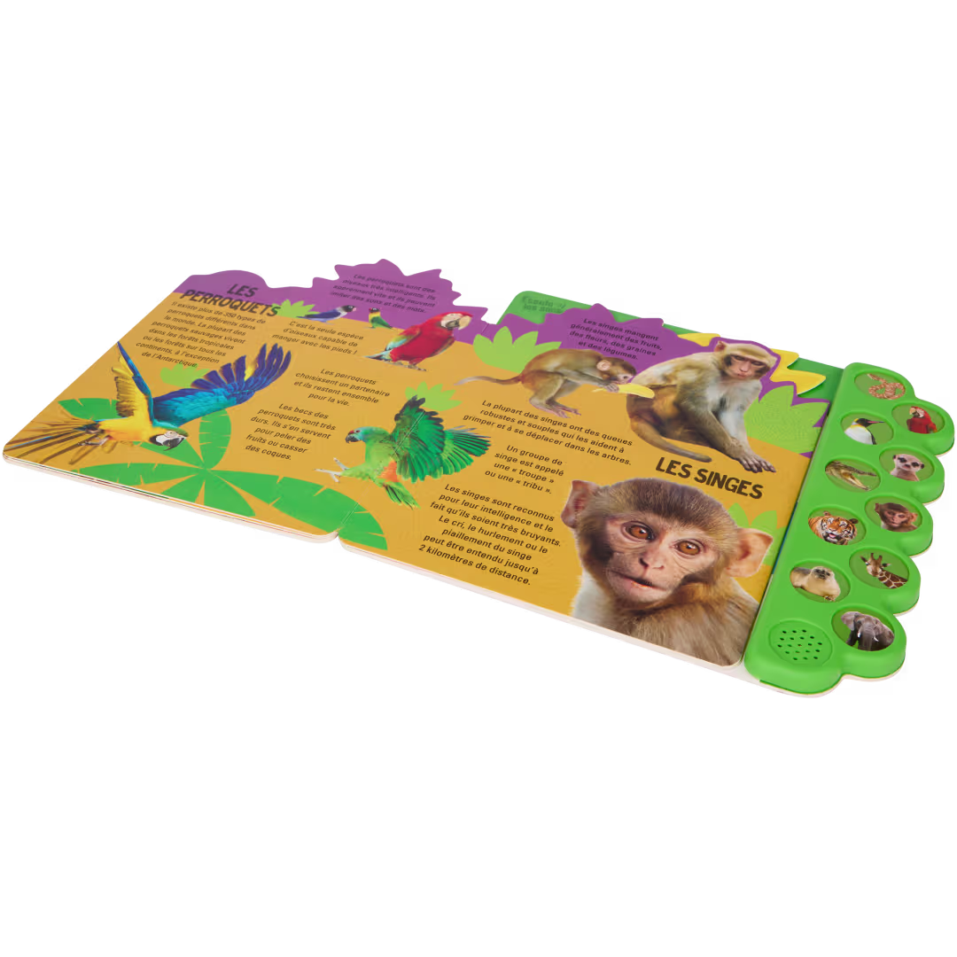 Livre pour enfant avec son_1