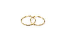 Sunline Golden Hoops