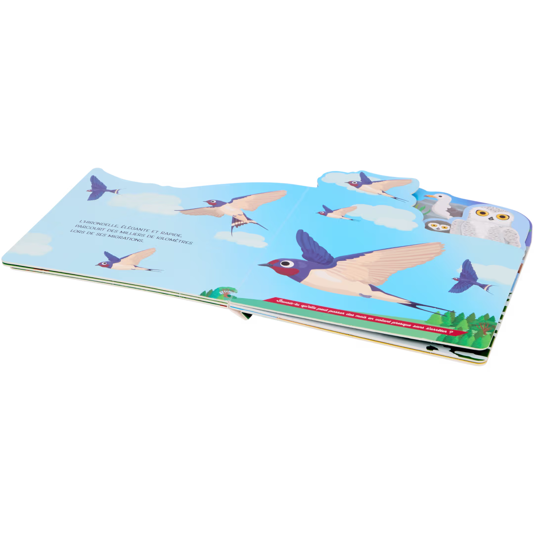 Livre pour enfants_1