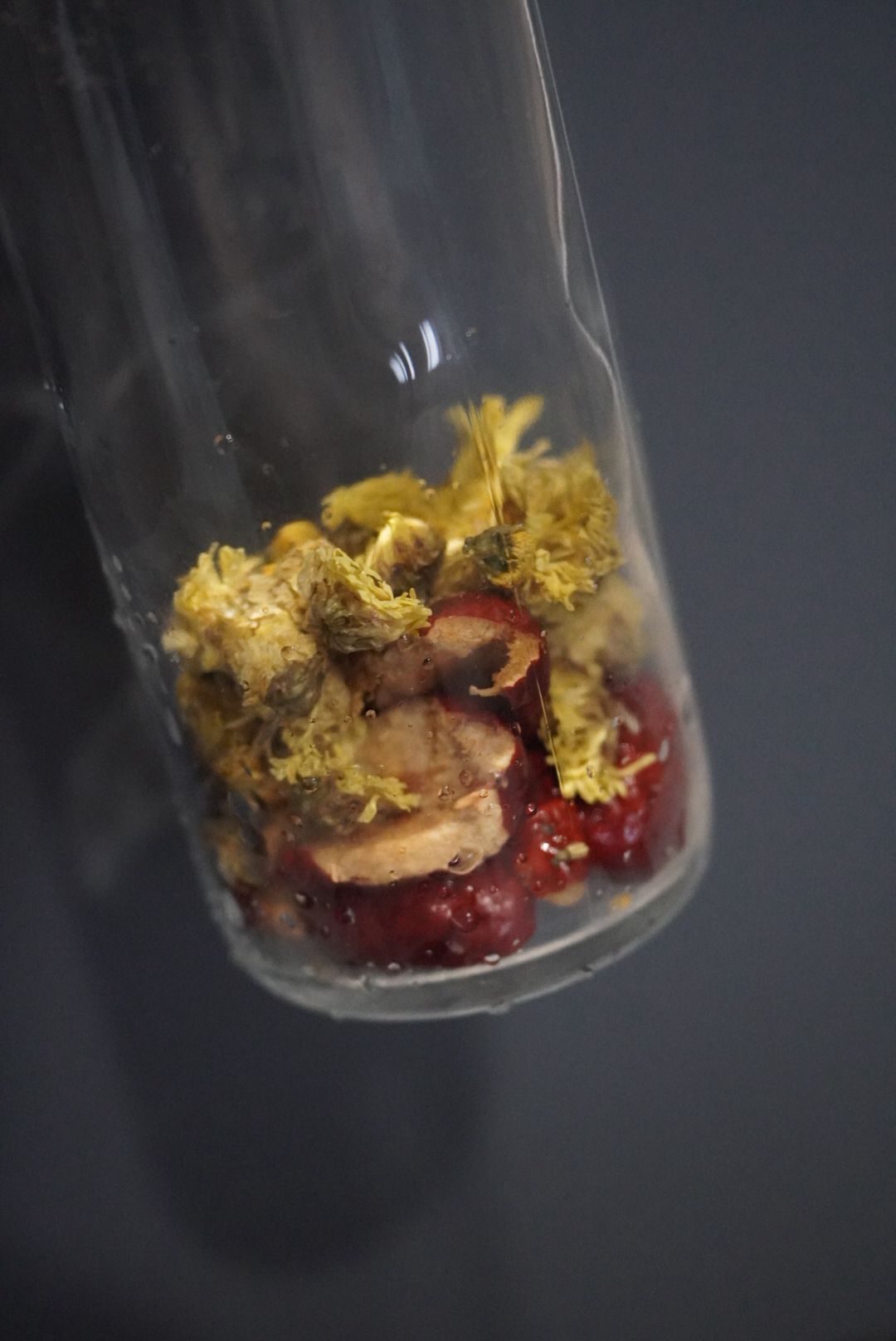 Chrysanthemum Red Dates Kombucha (In Cup) 