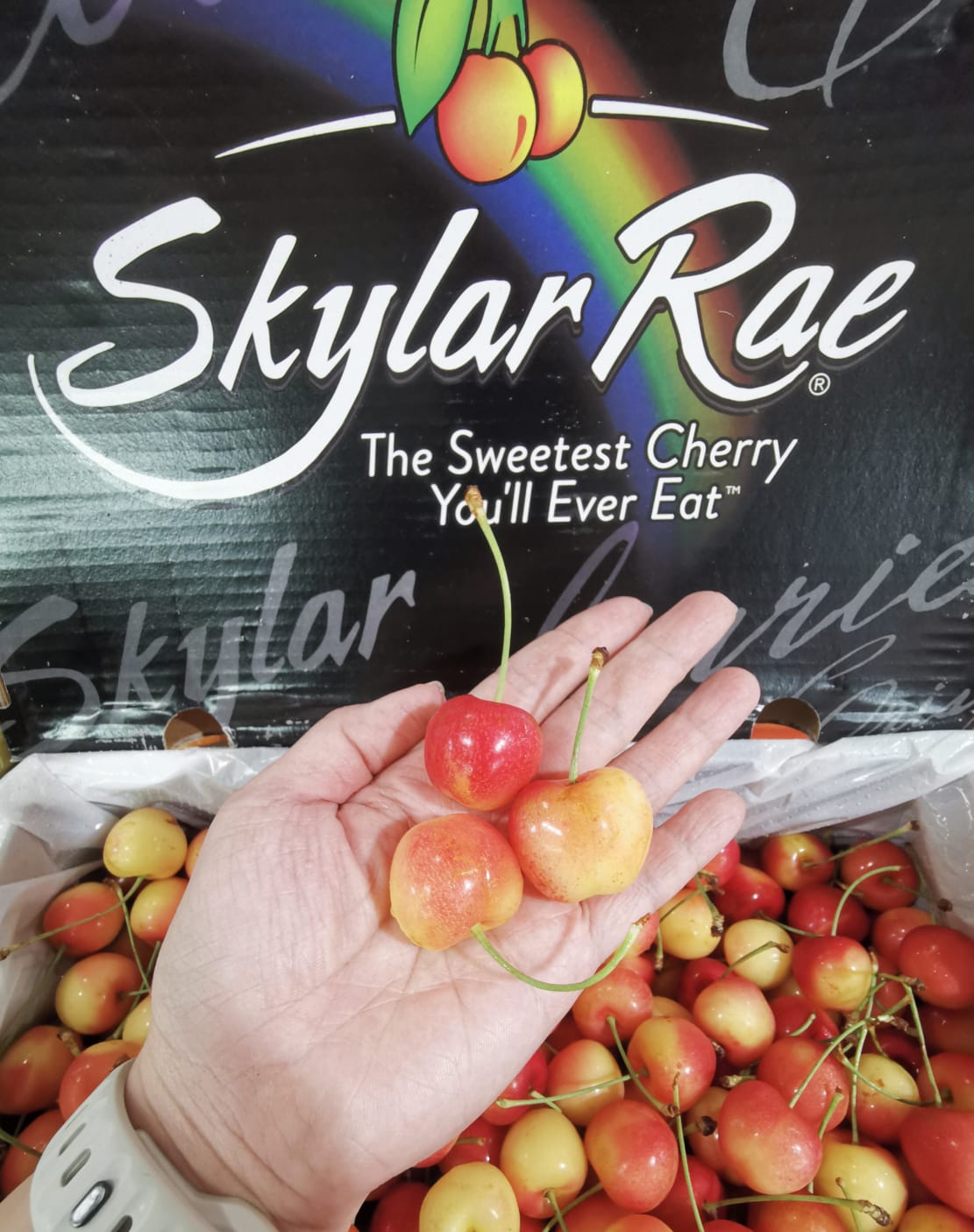 Skylar Rae Rainier_1