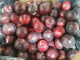 Queen Garnet Plums