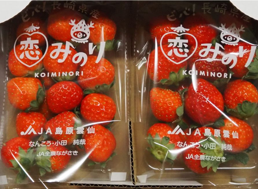 Koiminori Strawberry NAGASAKI 240g  🍓 (Limited Stock)