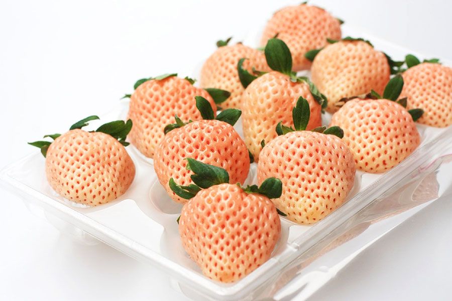 Awayuki White Strawberry SAGA 240g  🍓 (Limited Stock)