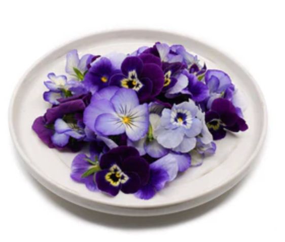 Edible Flower Viola 20g Pack 🪻 (Limited Stock) _0