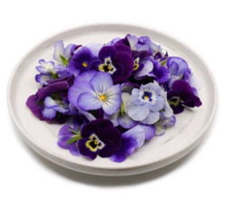 Edible Flower Viola 20g Pack 🪻 (Limited Stock) 
