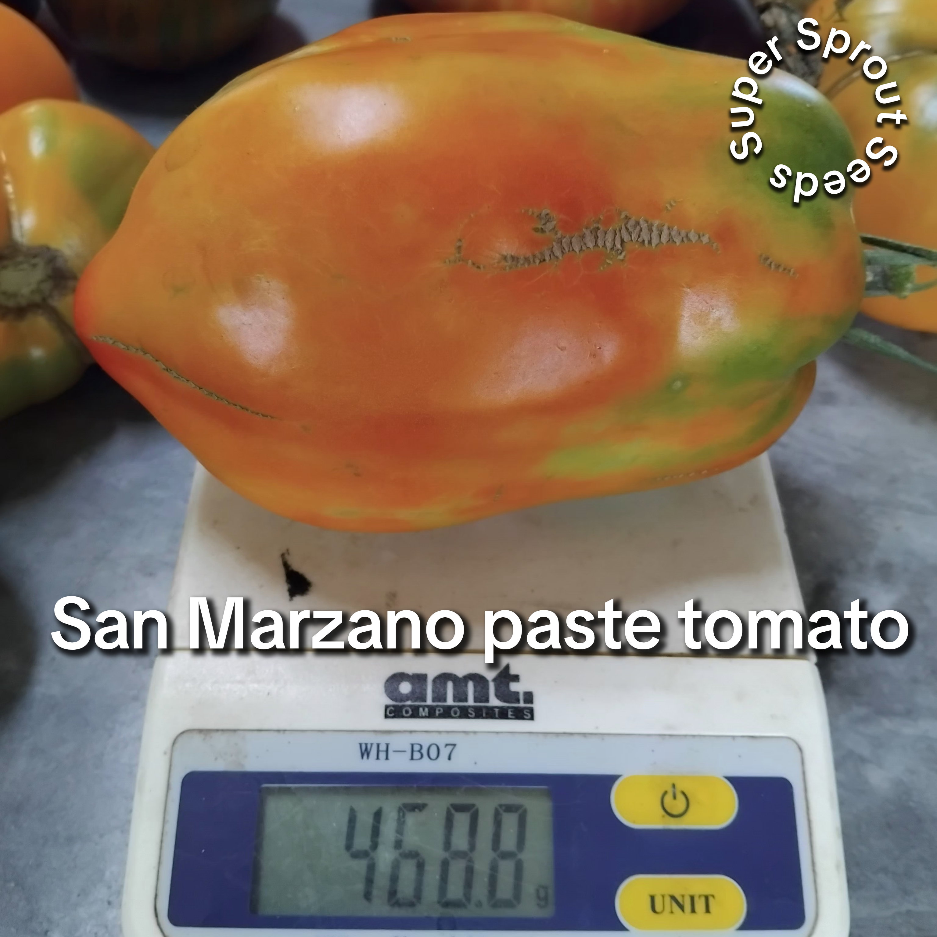 San Marzano paste tomato x 10 seeds_2