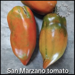 San Marzano paste tomato x 10 seeds