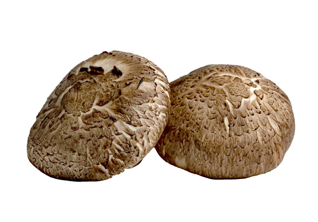 Shiitake Mushroom Big OITA 200g Pack 🍄‍🟫 (Limited Stock)