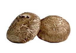 Shiitake Mushroom Big OITA 200g Pack 🍄‍🟫 (Limited Stock)