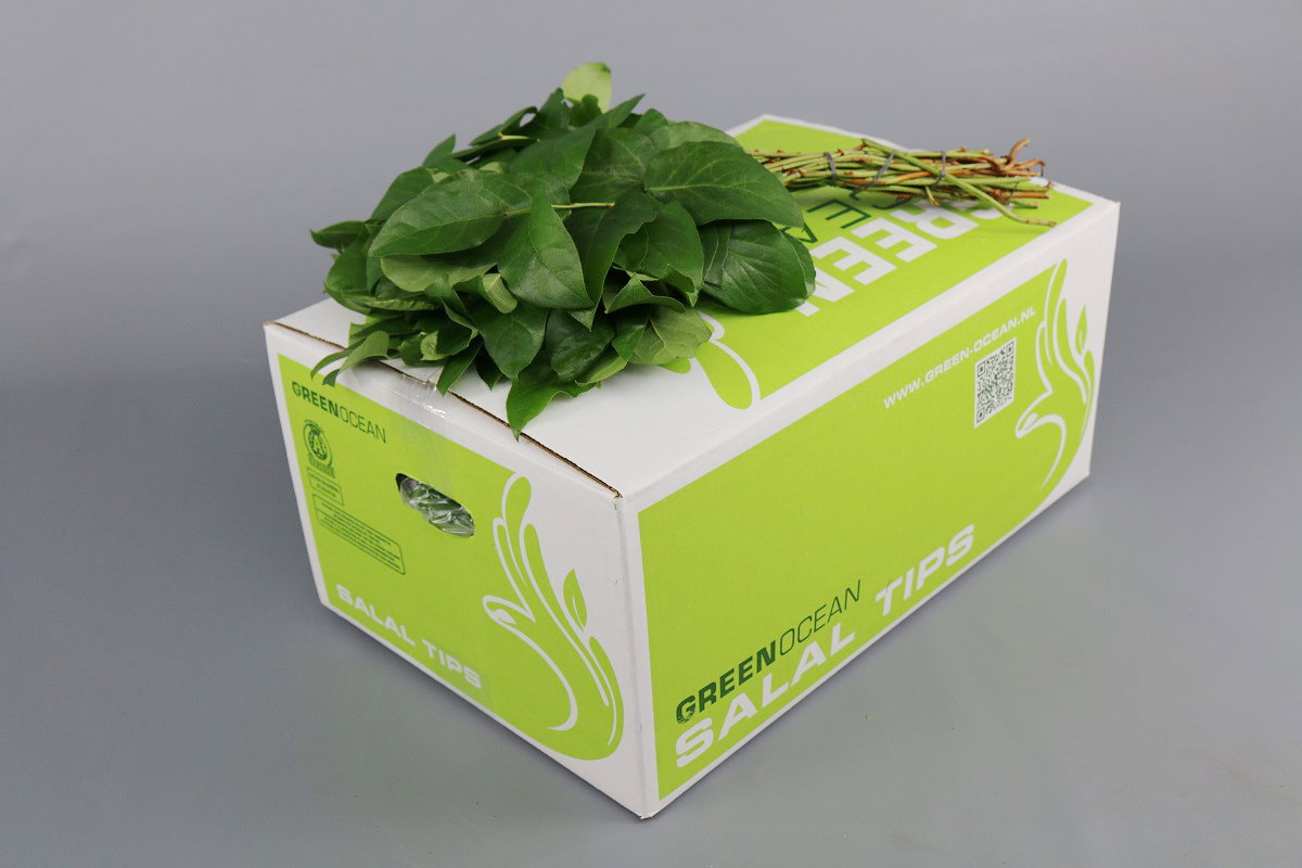 Salal Tips_1