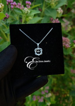 Collier Simple En argent 