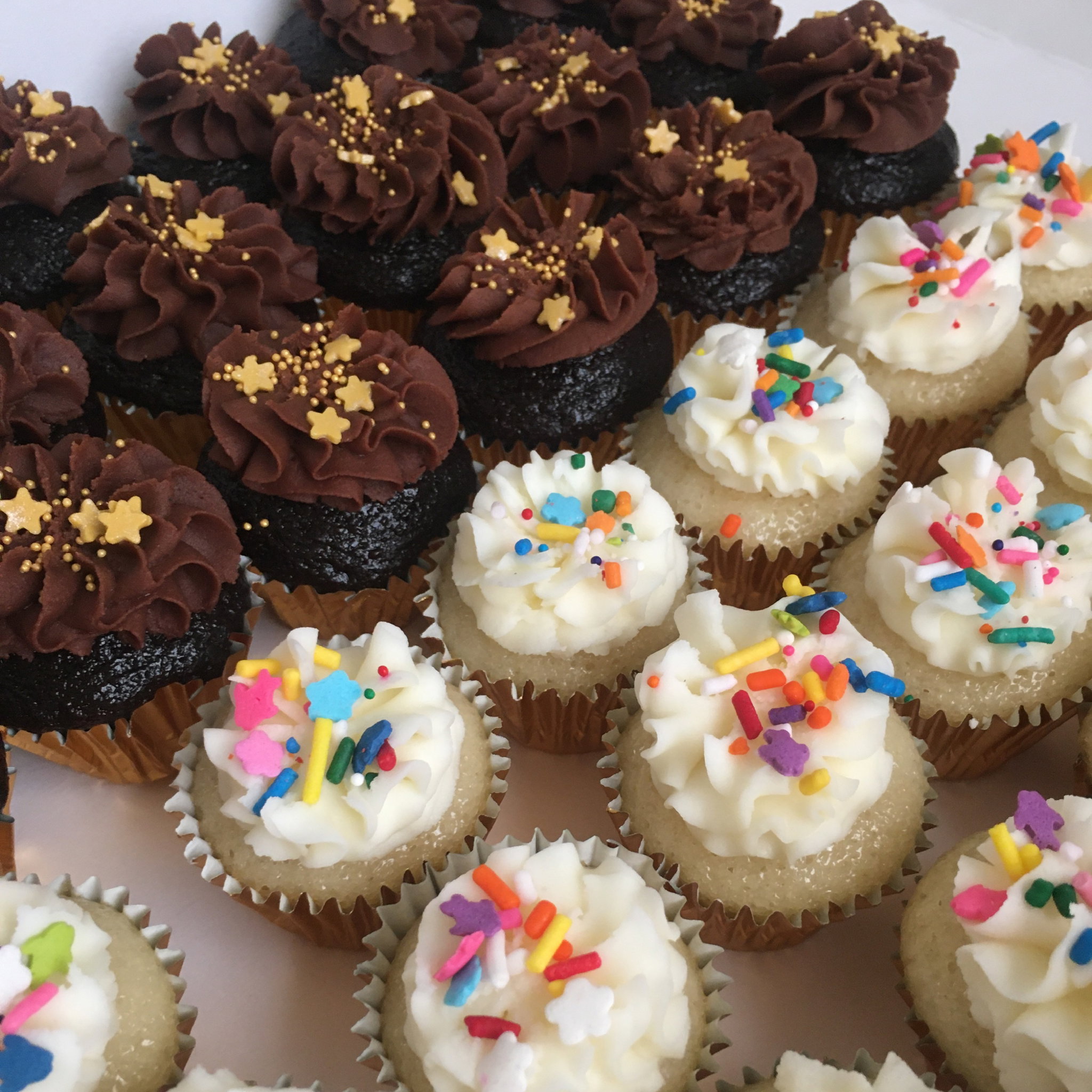 Mini Cupcakes_1