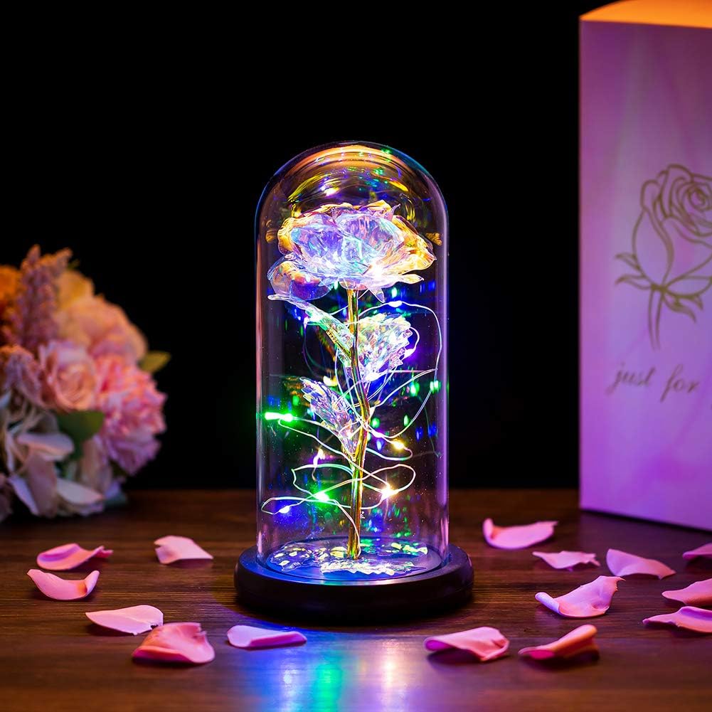 Eternal Rose dome with light