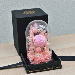 Pink beauty erernal roses 
