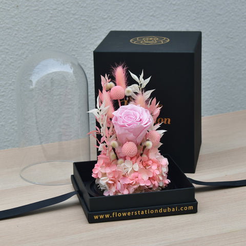 Pink beauty erernal roses _3