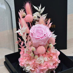 Pink beauty erernal roses 
